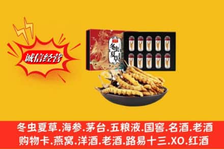 上海市闵行名酒回收虫草.jpg