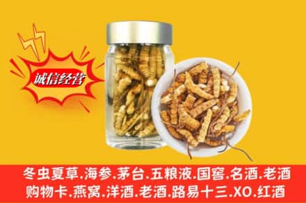 上海市闵行回收散虫草